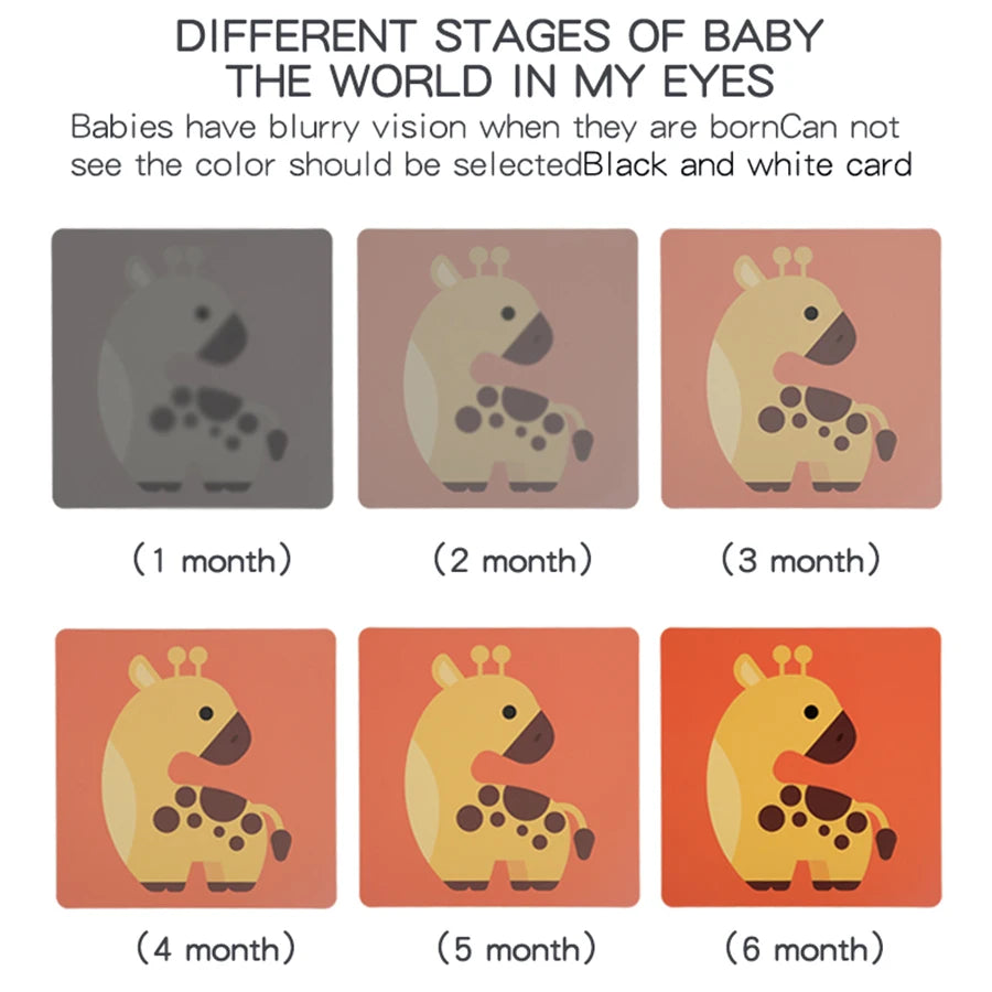 Baby Visual Stimulation