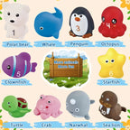 Montessori Farm Train
