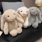 Cute Lop Rabbit